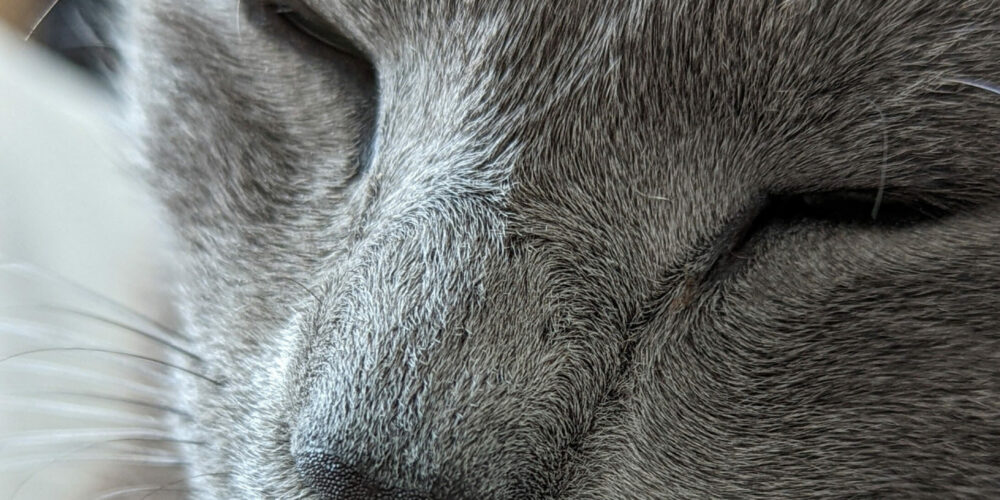 PXL_20211111_152807759