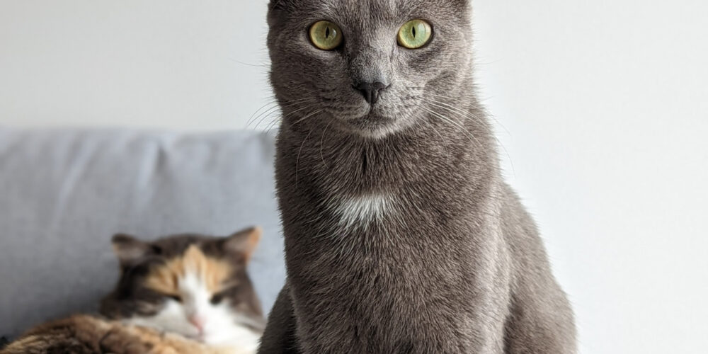 PXL_20220116_113322135